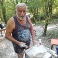 delfino2_Agosto_2024
