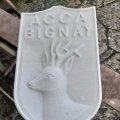 z_Capriolo 12 02 2026.
